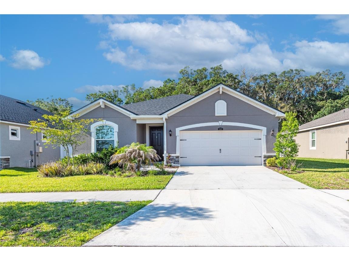 13003 Satin Lily Drive Riverview FL 33579 T3372713 image1