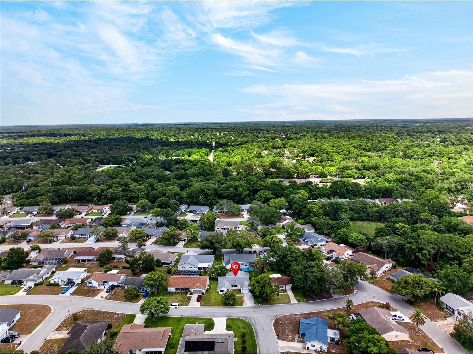13004 Serpentine Drive Hudson FL 34667 TB8521457 image44