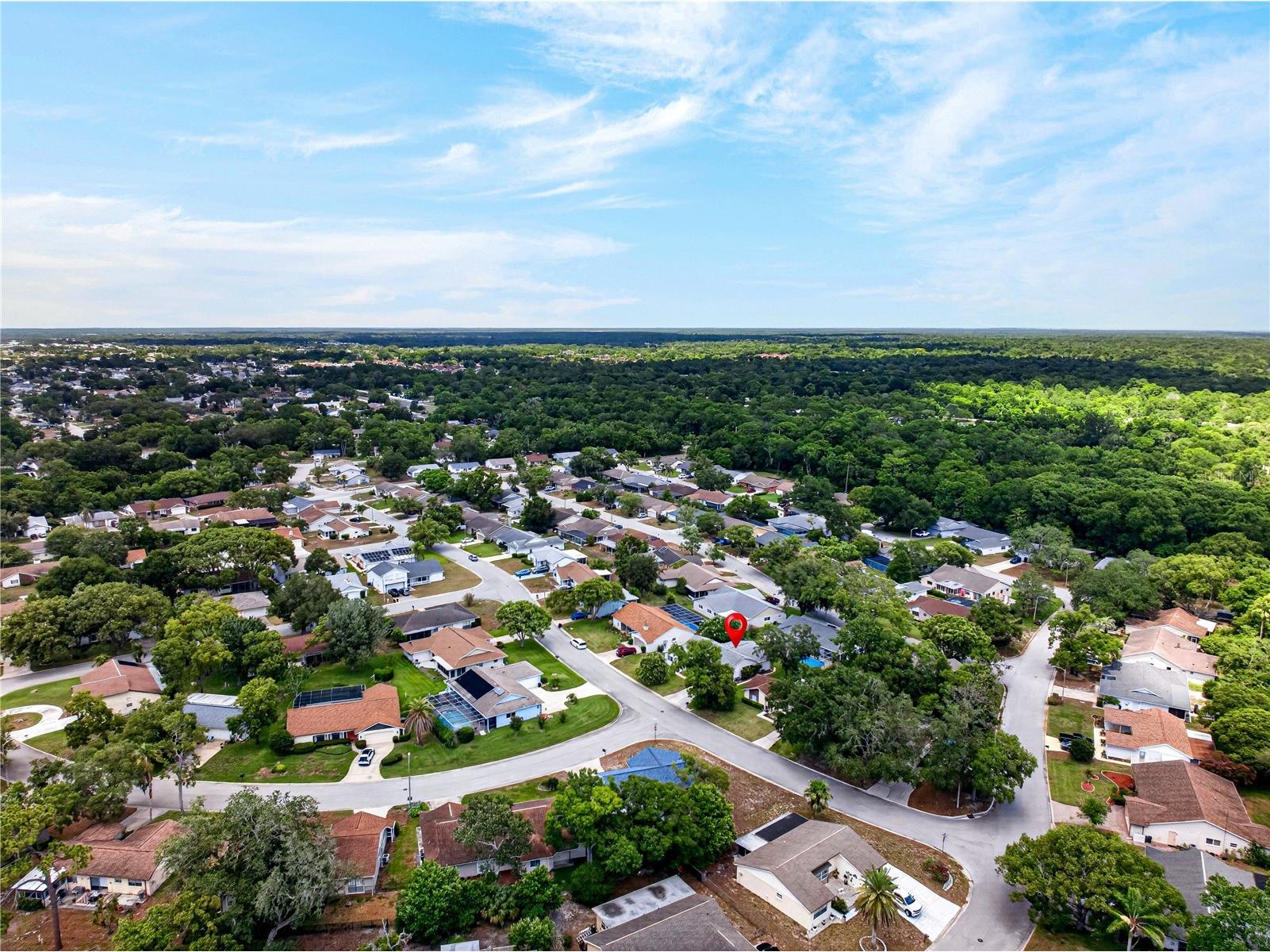 13004 Serpentine Drive Hudson FL 34667 TB8521457 image45