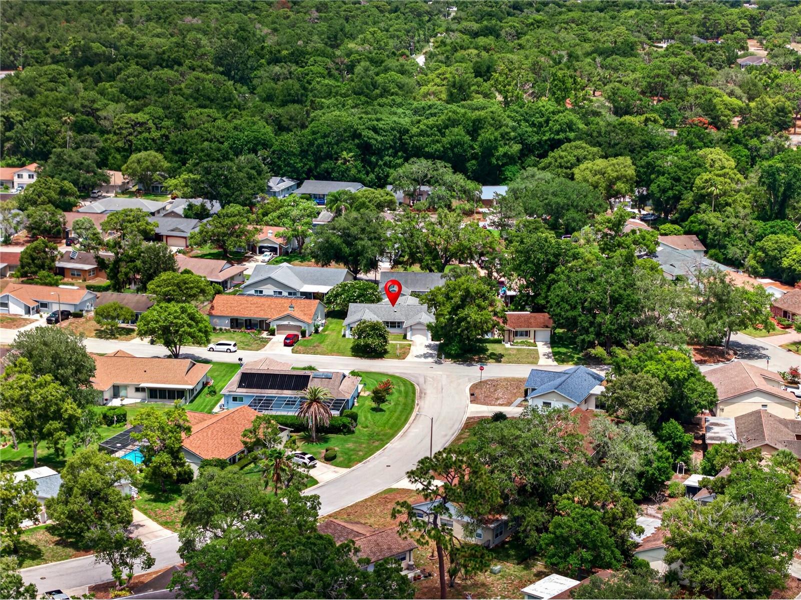 13004 Serpentine Drive Hudson FL 34667 TB8521457 image46