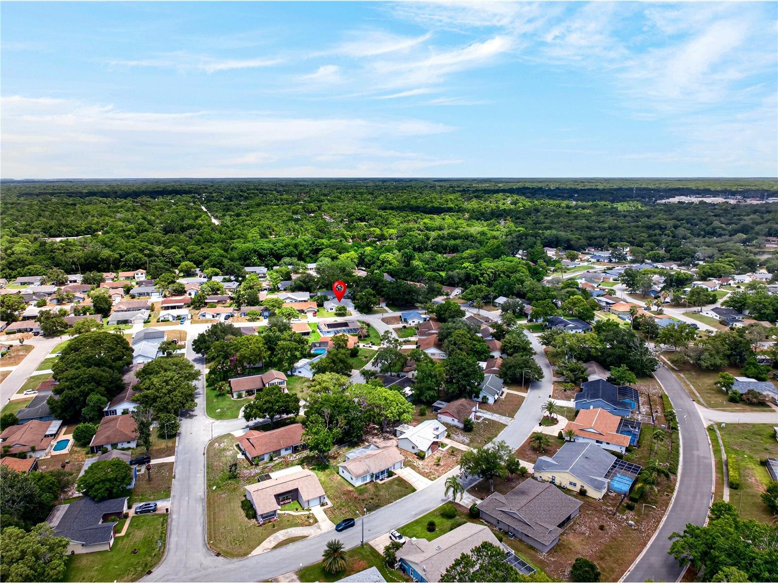 13004 Serpentine Drive Hudson FL 34667 TB8521457 image47