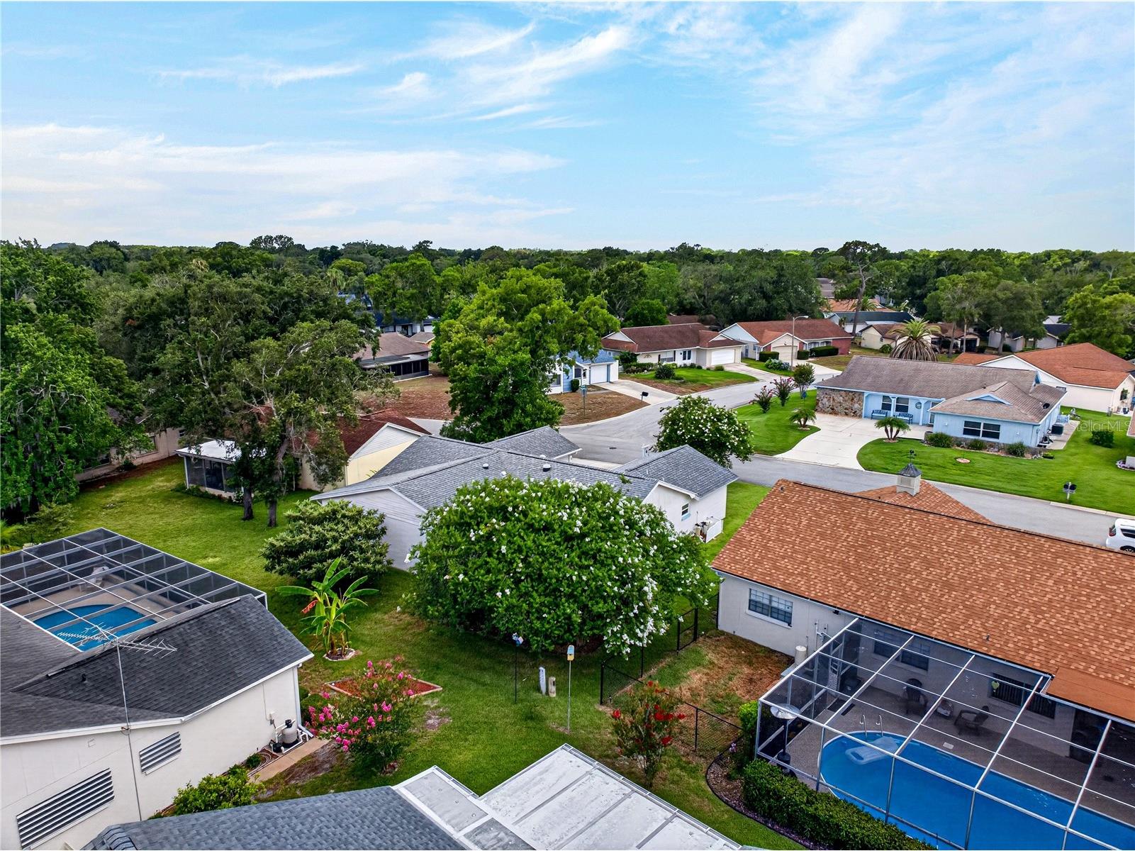 13004 Serpentine Drive Hudson FL 34667 TB8521457 image49