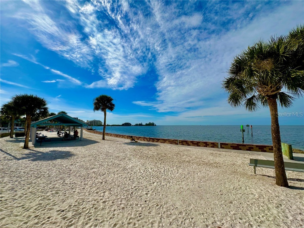 13004 Spicebox Way Hudson FL 34667 TB8453112 image50