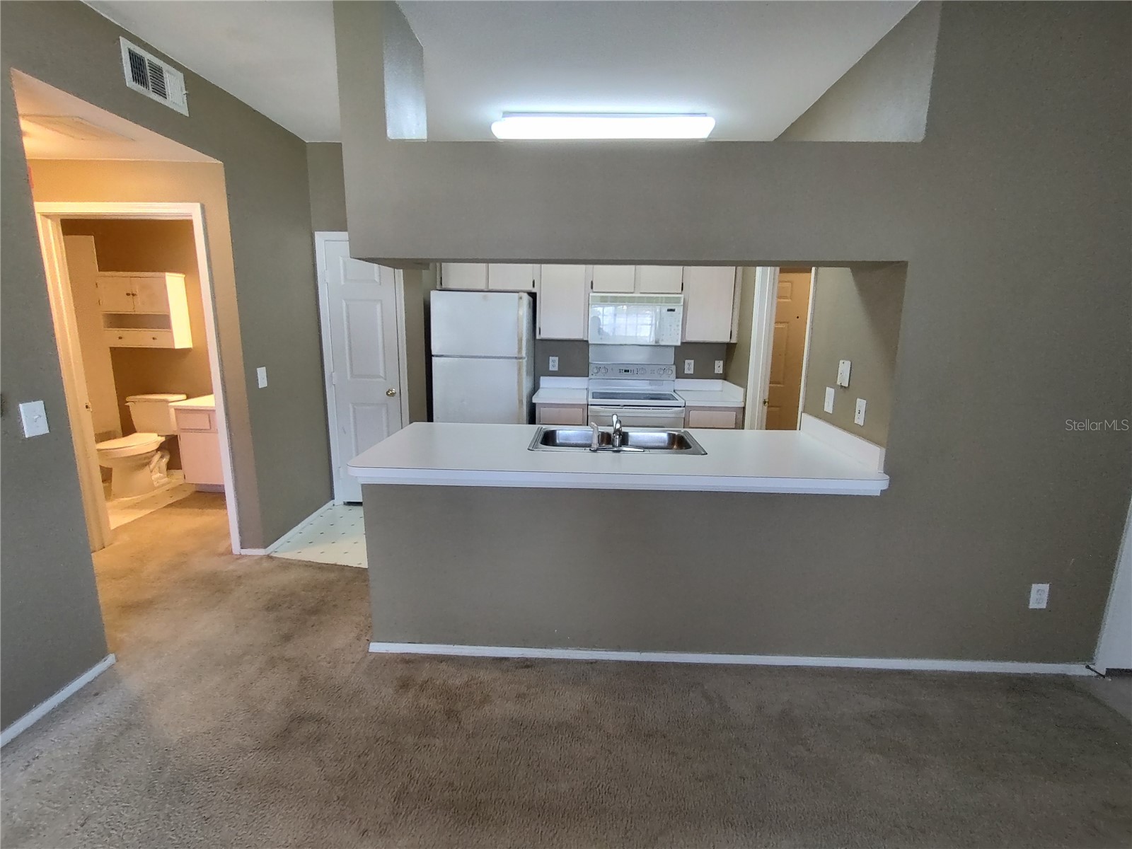 13005 Sanctuary Cove Drive #103 Temple Terrace FL 33637 TB8459067 image4