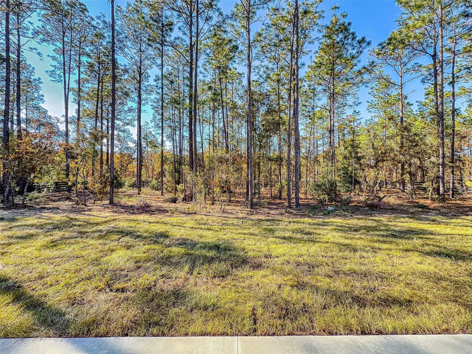 13005 SW 62nd Street Road Ocala FL 34481 OM716203 image55