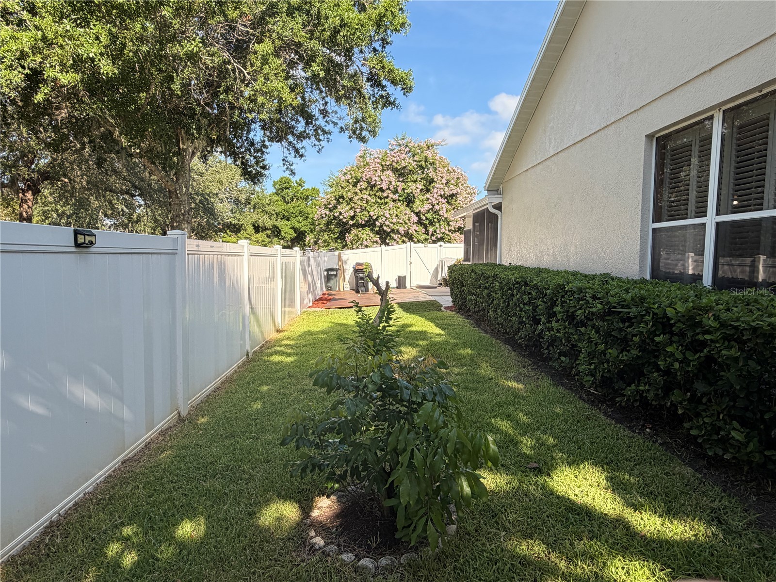 13006 Sunkiss Loop Windermere FL 34786 O6427757 image10