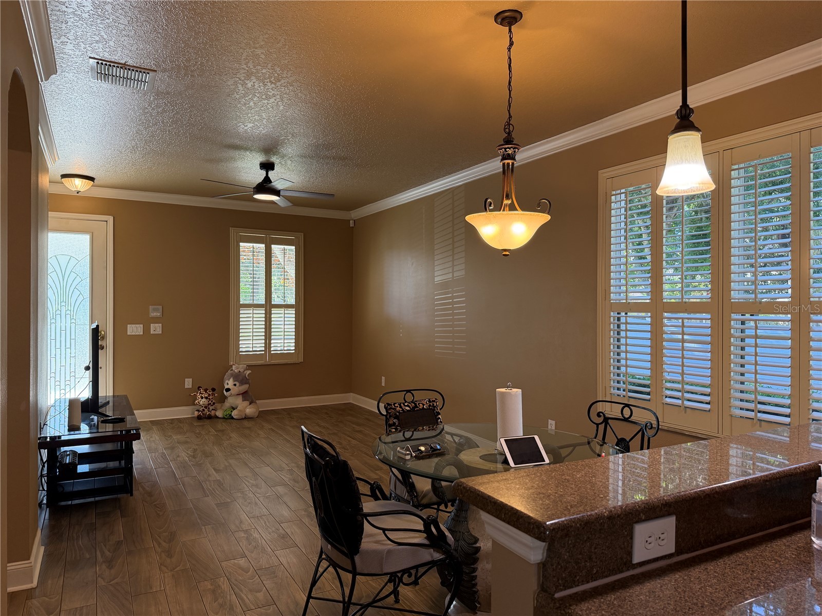 13006 Sunkiss Loop Windermere FL 34786 O6427757 image31