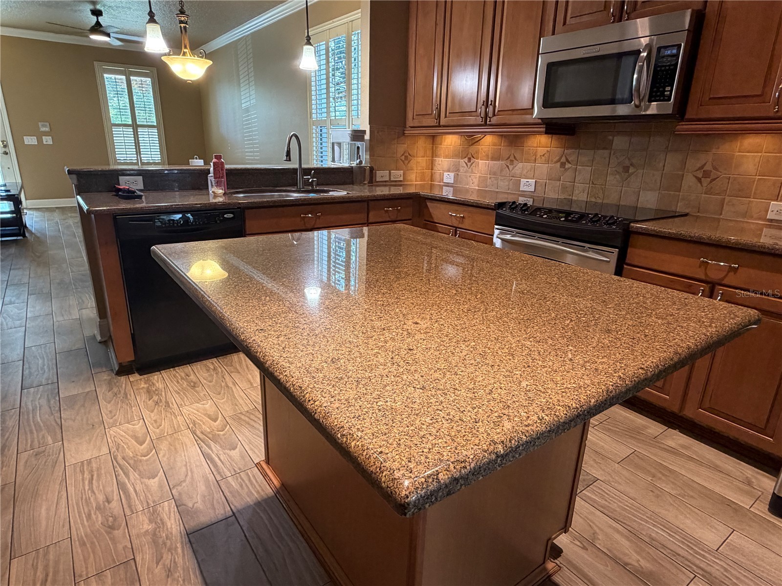 13006 Sunkiss Loop Windermere FL 34786 O6427757 image39