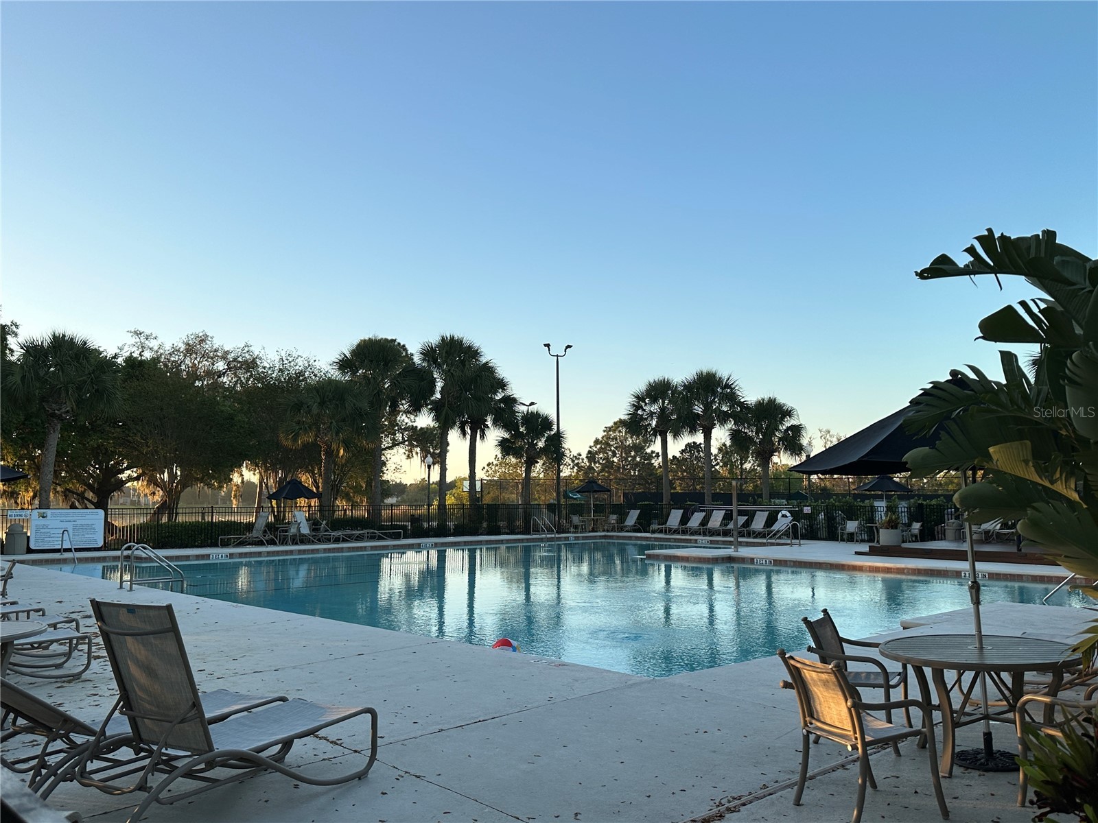 13006 Sunkiss Loop Windermere FL 34786 O6427757 image50