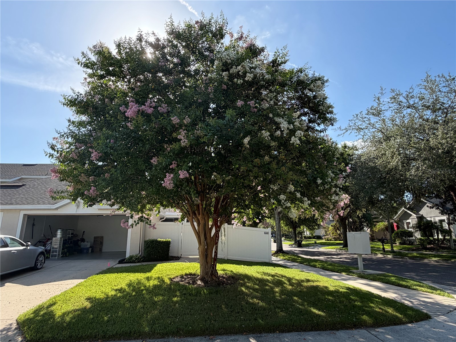 13006 Sunkiss Loop Windermere FL 34786 O6427757 image8