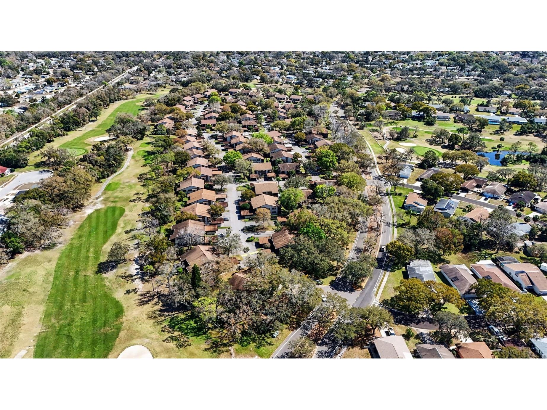 13006 Wedgewood Way #D Hudson FL 34667 TB8481805 image19