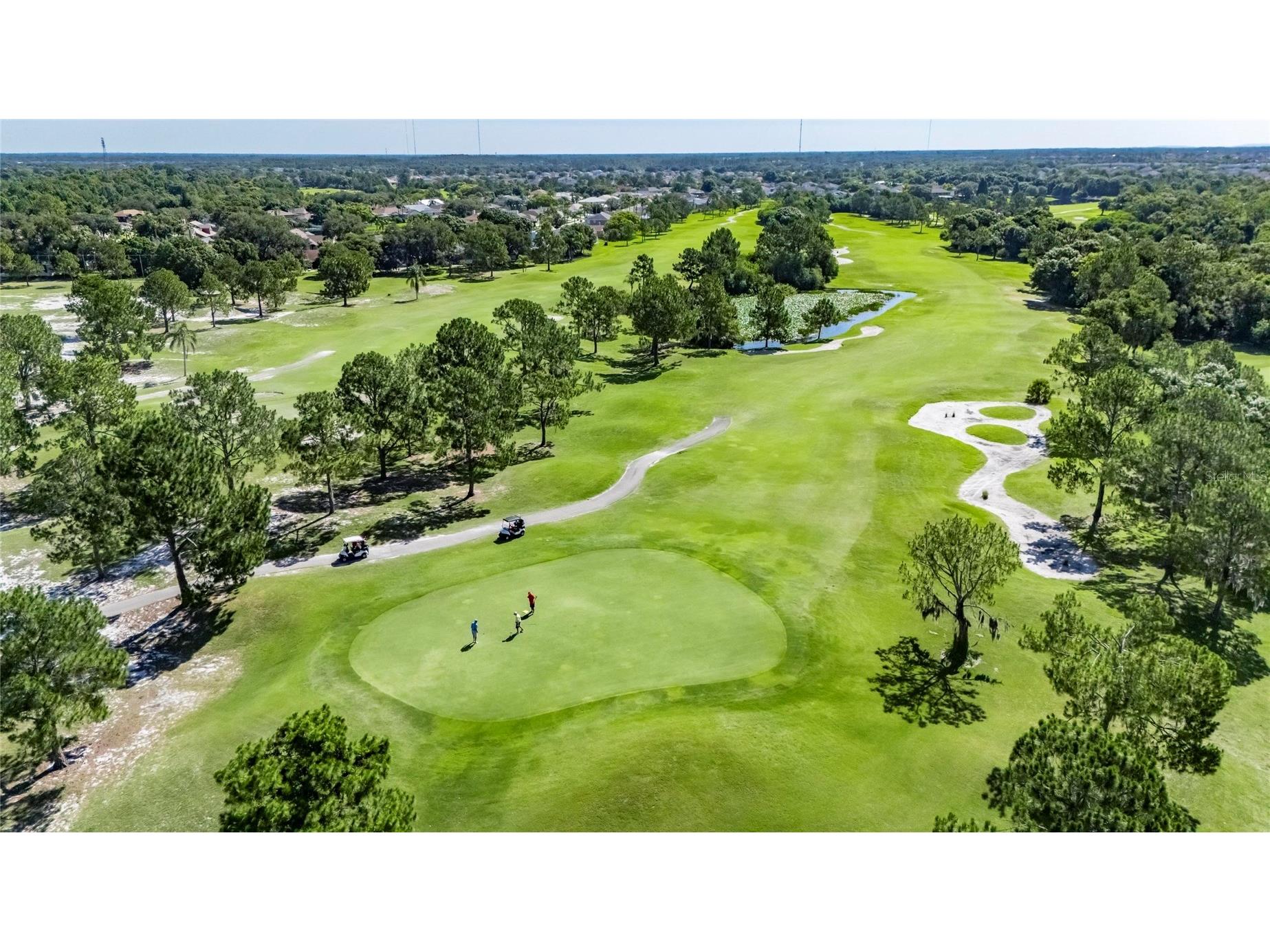 13007 Oakmont Wood Court Riverview FL 33579 TB8522451 image3