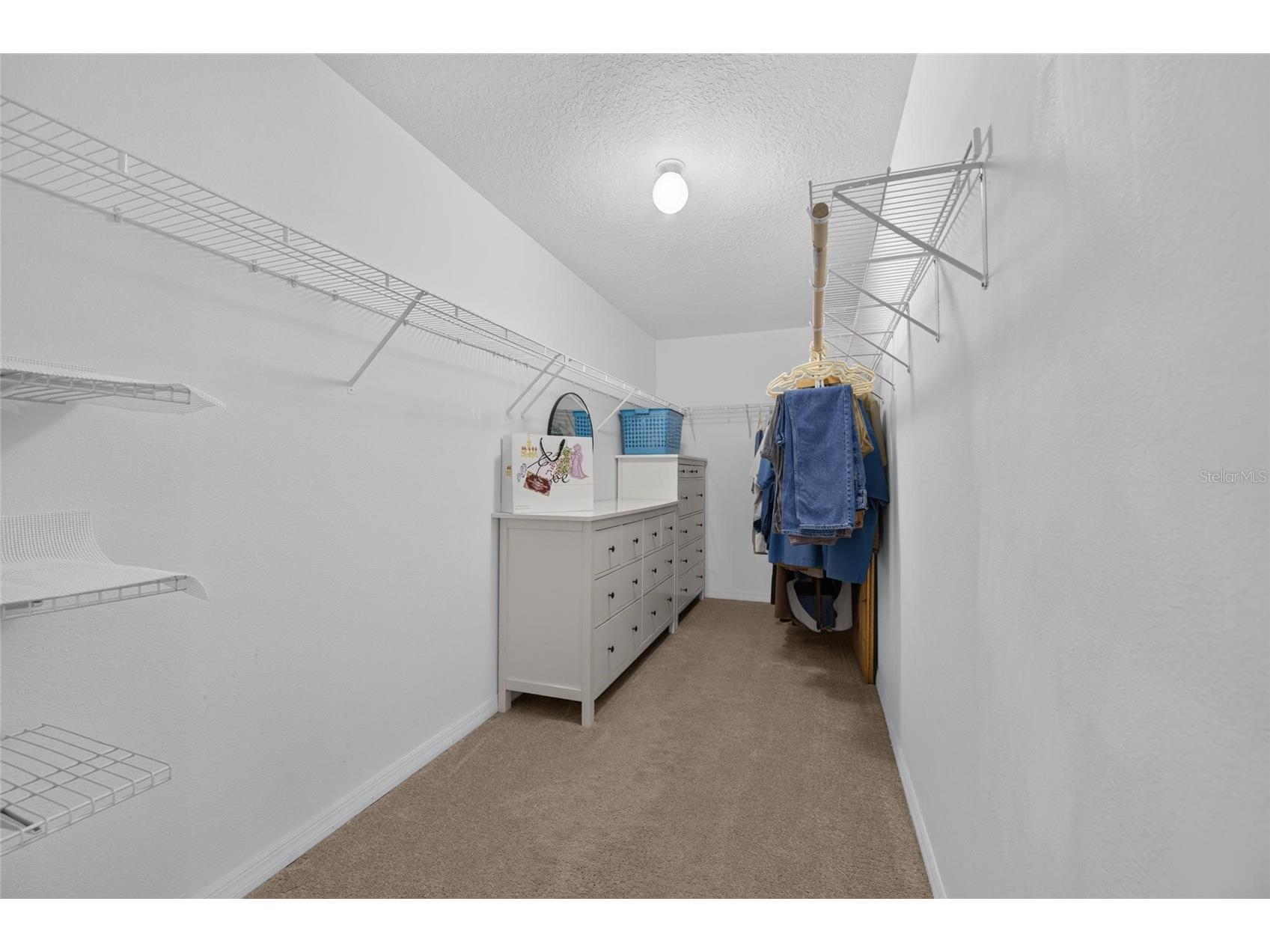 13007 Oakmont Wood Court Riverview FL 33579 TB8522451 image63