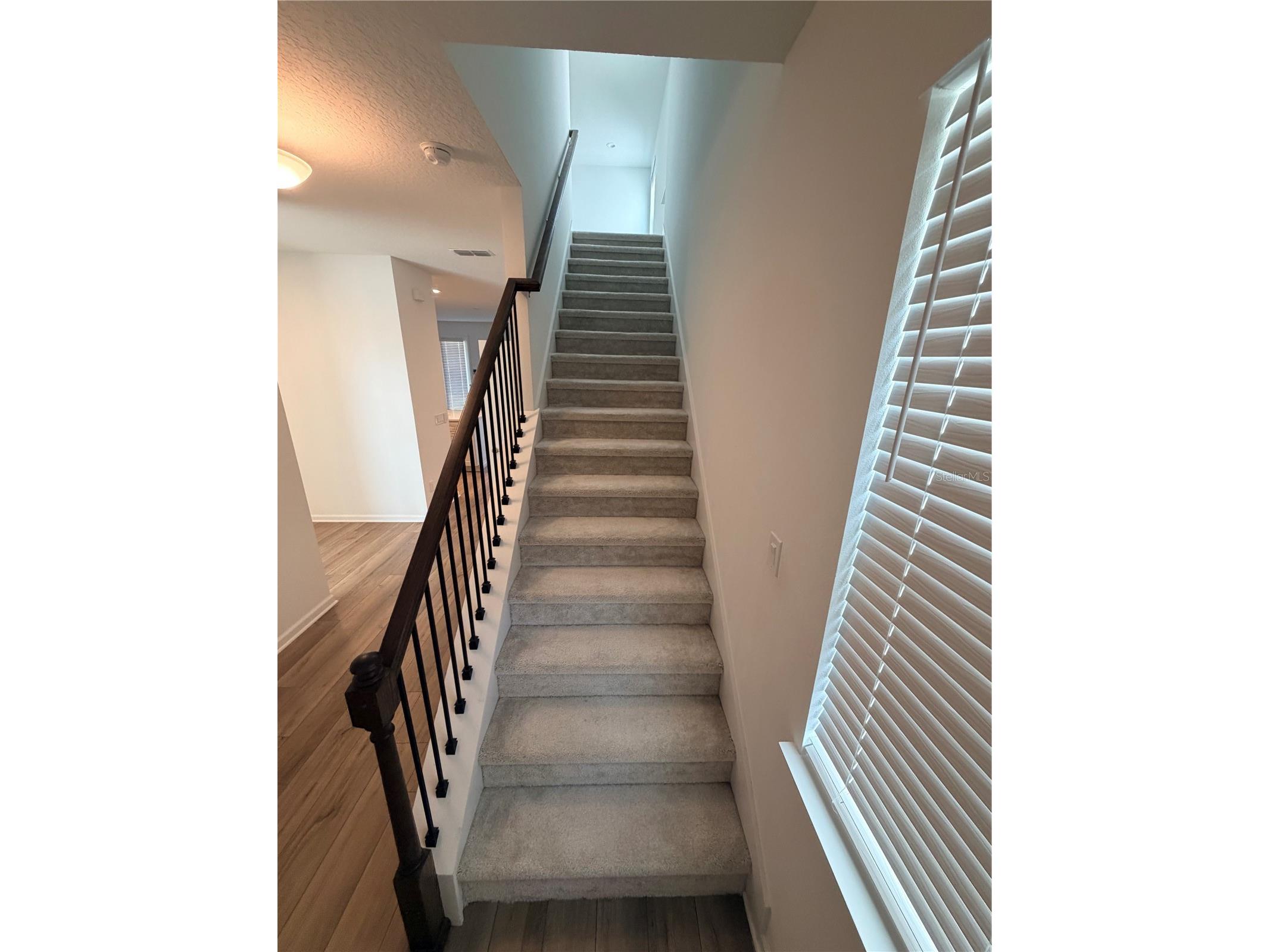 13007 Tollcross Way Winter Garden FL 34787 O6410351 image17
