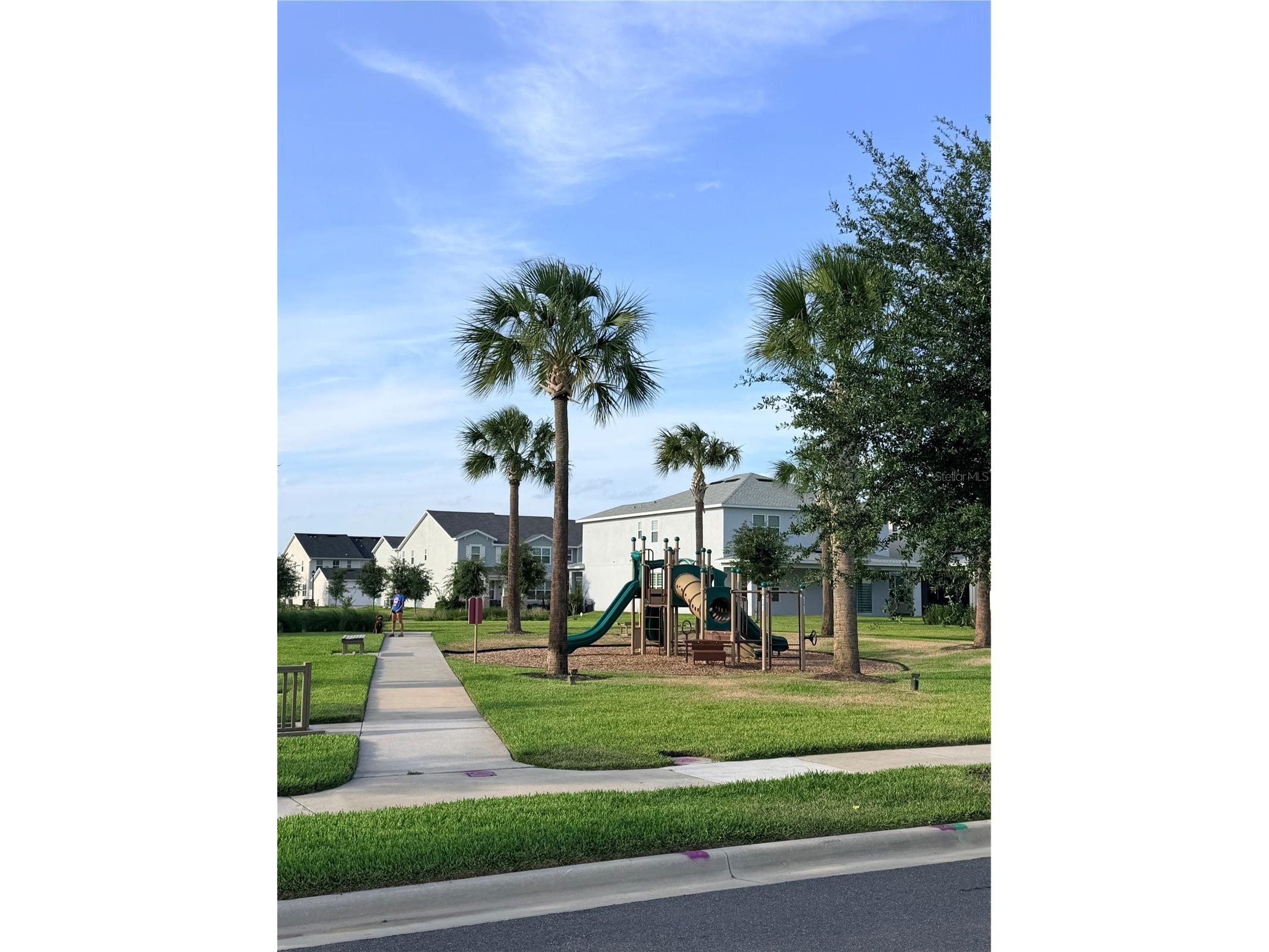 13007 Tollcross Way Winter Garden FL 34787 O6410351 image46