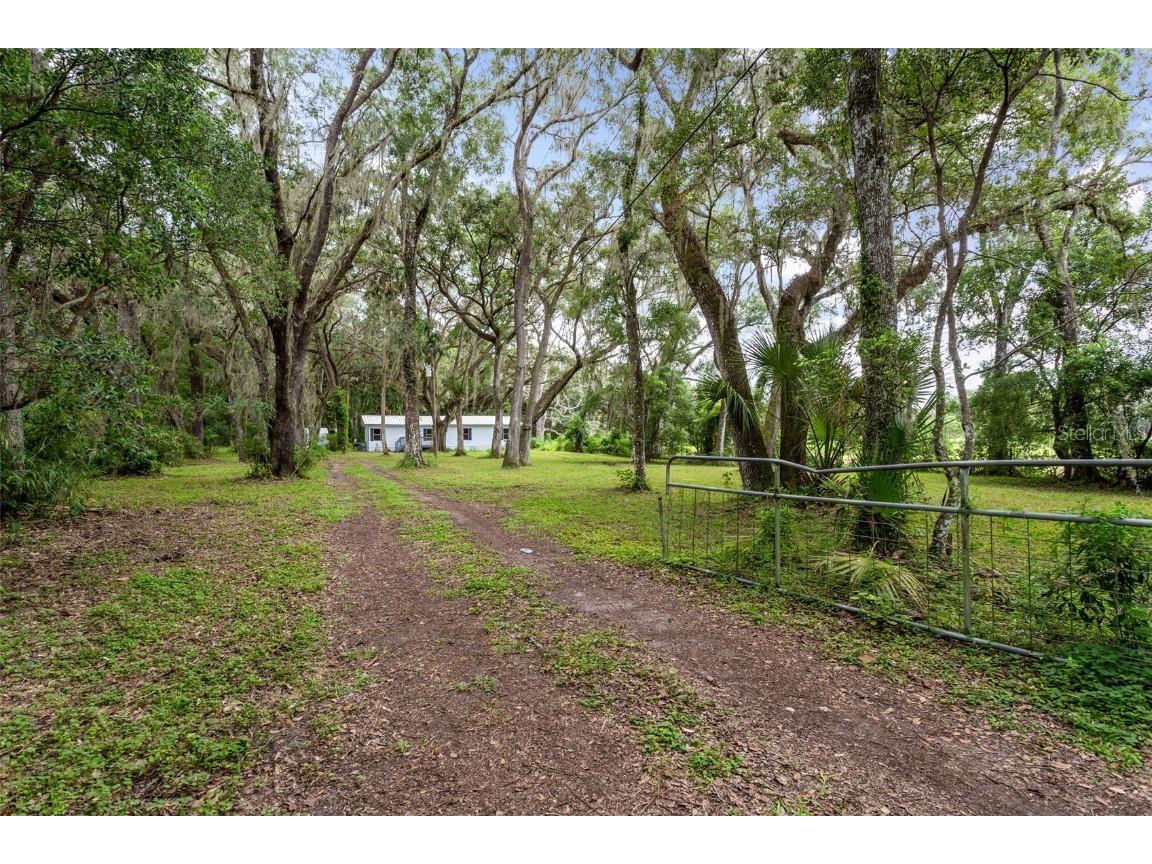 13008 Douglas Road Dade City FL 33525 T3472948 image1