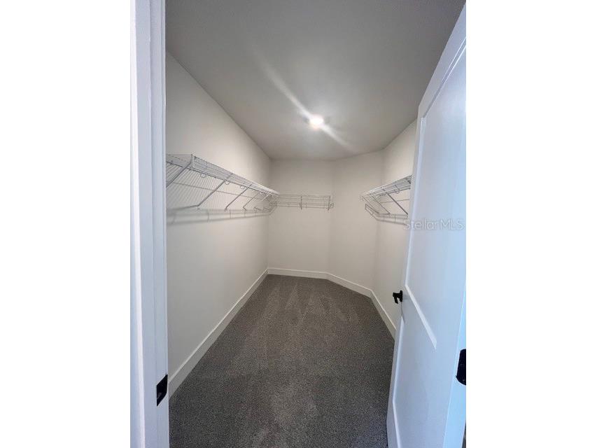 13008 Kent Bradley Street Dade City FL 33525 TB8486921 image19