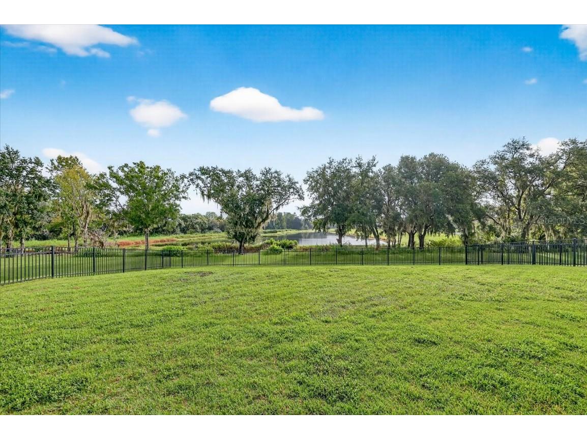 13008 Paddock Wood Place Riverview FL 33579 TB8424163 image49