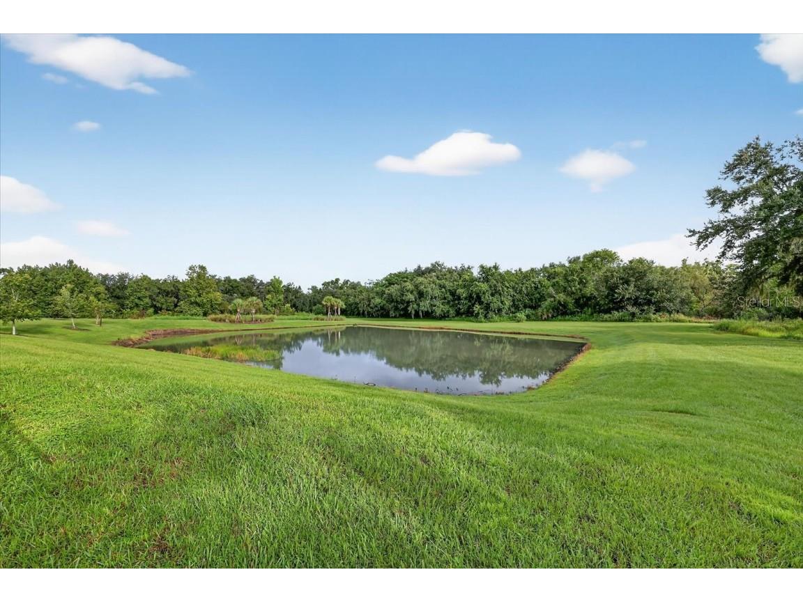 13008 Paddock Wood Place Riverview FL 33579 TB8424163 image52