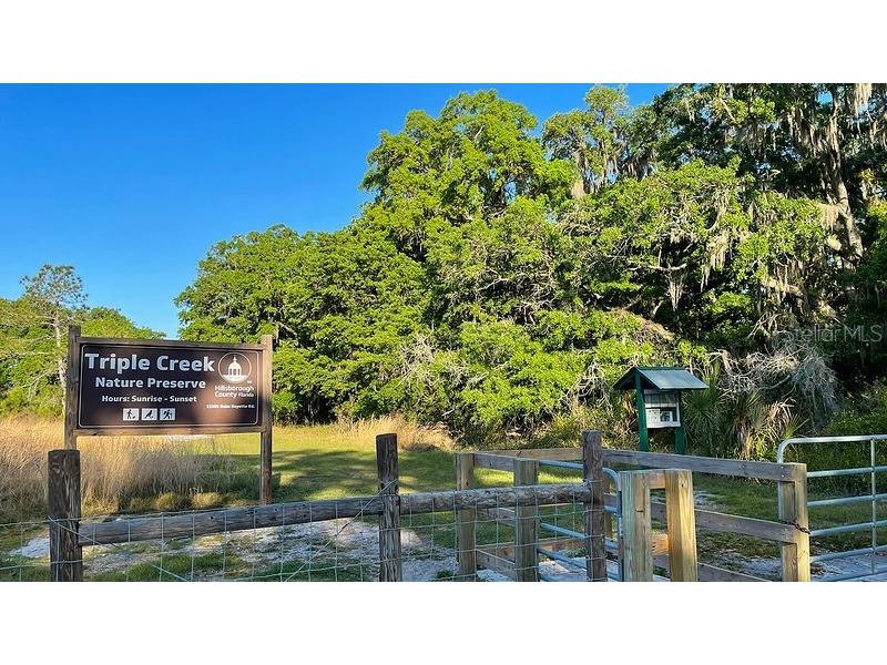 13008 Paddock Wood Place Riverview FL 33579 TB8424163 image84