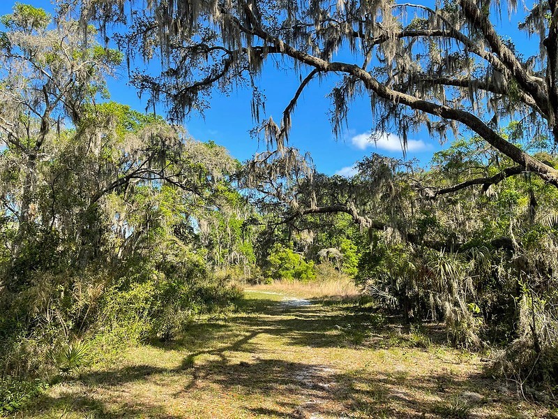 13008 Paddock Wood Place Riverview FL 33579 TB8424163 image85