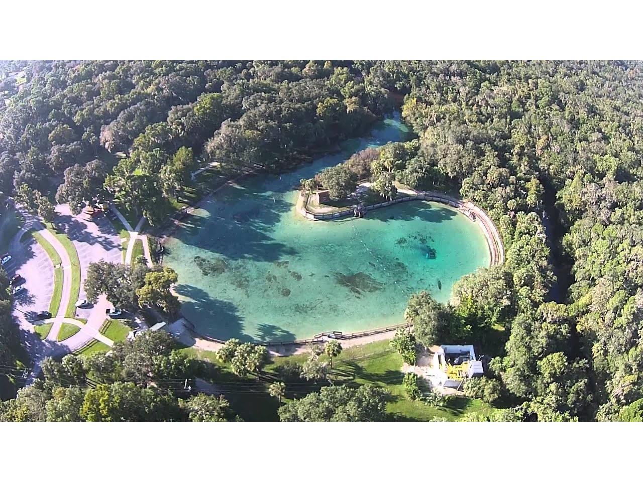 13008 Paddock Wood Place Riverview FL 33579 TB8424163 image86