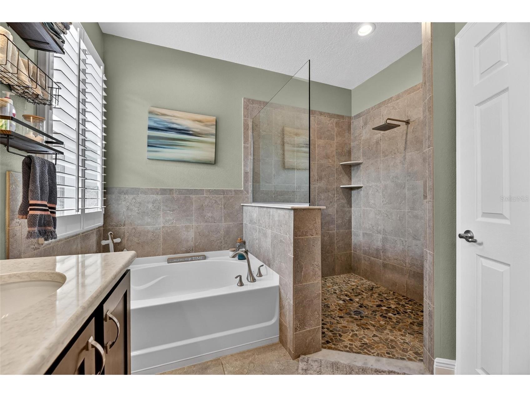 13008 Shadow Run Boulevard Riverview FL 33569 TB8508887 image27