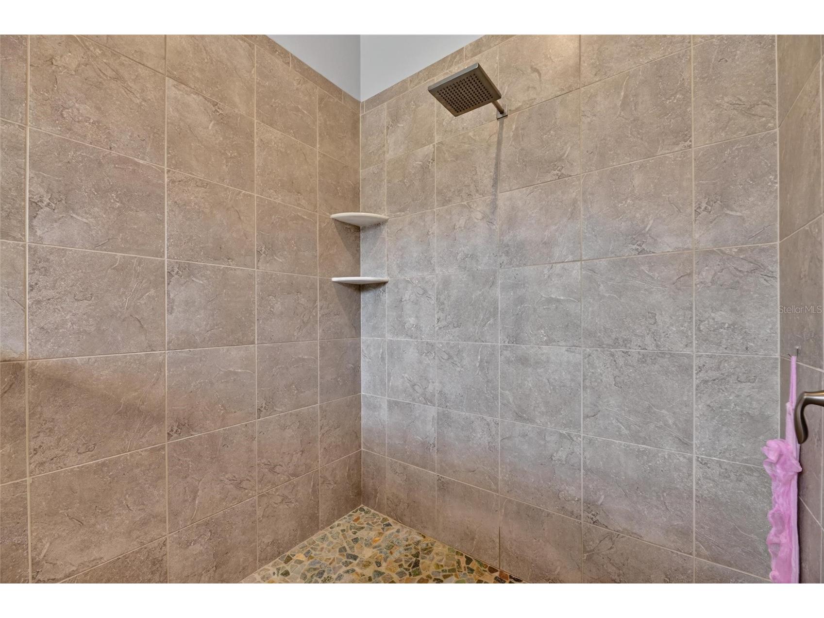 13008 Shadow Run Boulevard Riverview FL 33569 TB8508887 image28