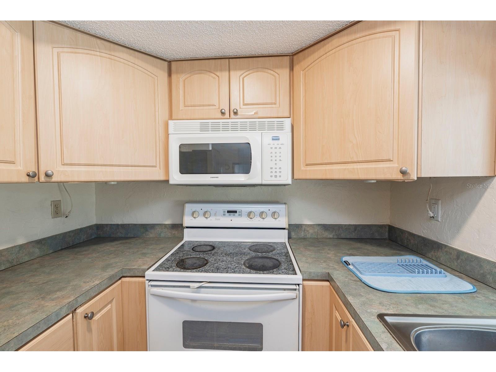 13009 Club Drive Hudson FL 34667 TB8511362 image14