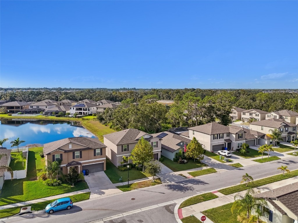 13009 Meadow Pond Place Riverview FL 33579 TB8447737 image52