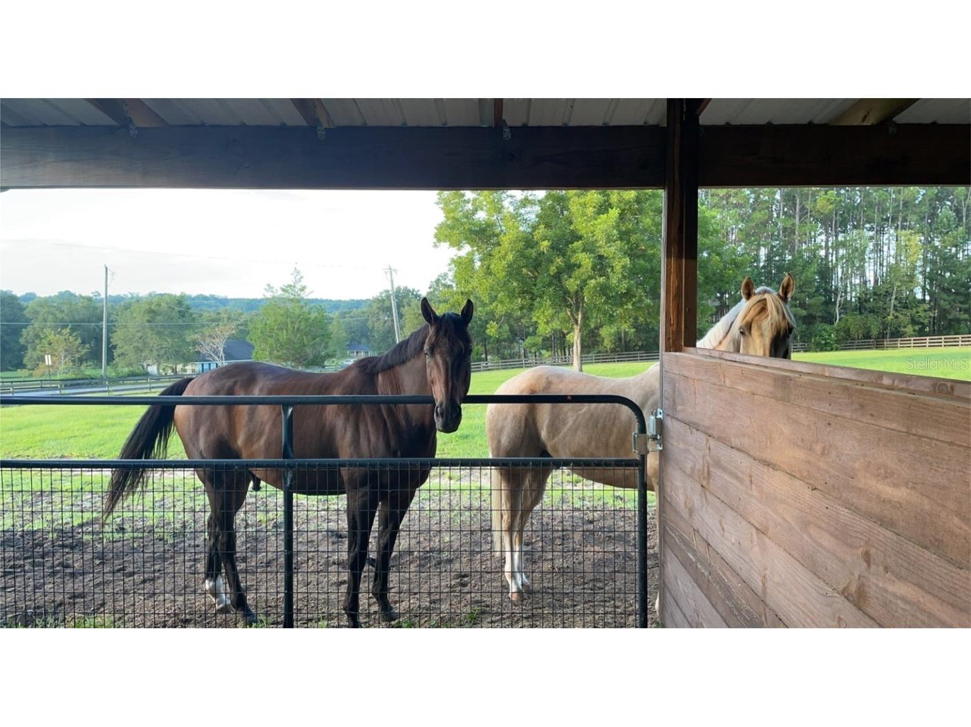 13009 NW 123rd Place Alachua FL 32615 GC533303 image61