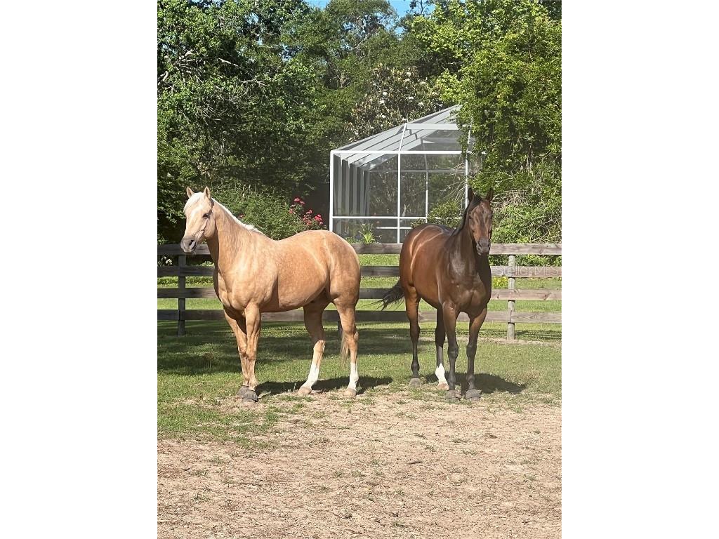 13009 NW 123rd Place Alachua FL 32615 GC533303 image62