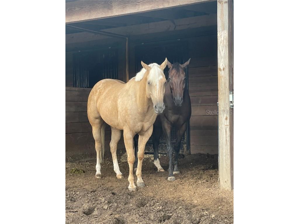 13009 NW 123rd Place Alachua FL 32615 GC533303 image63