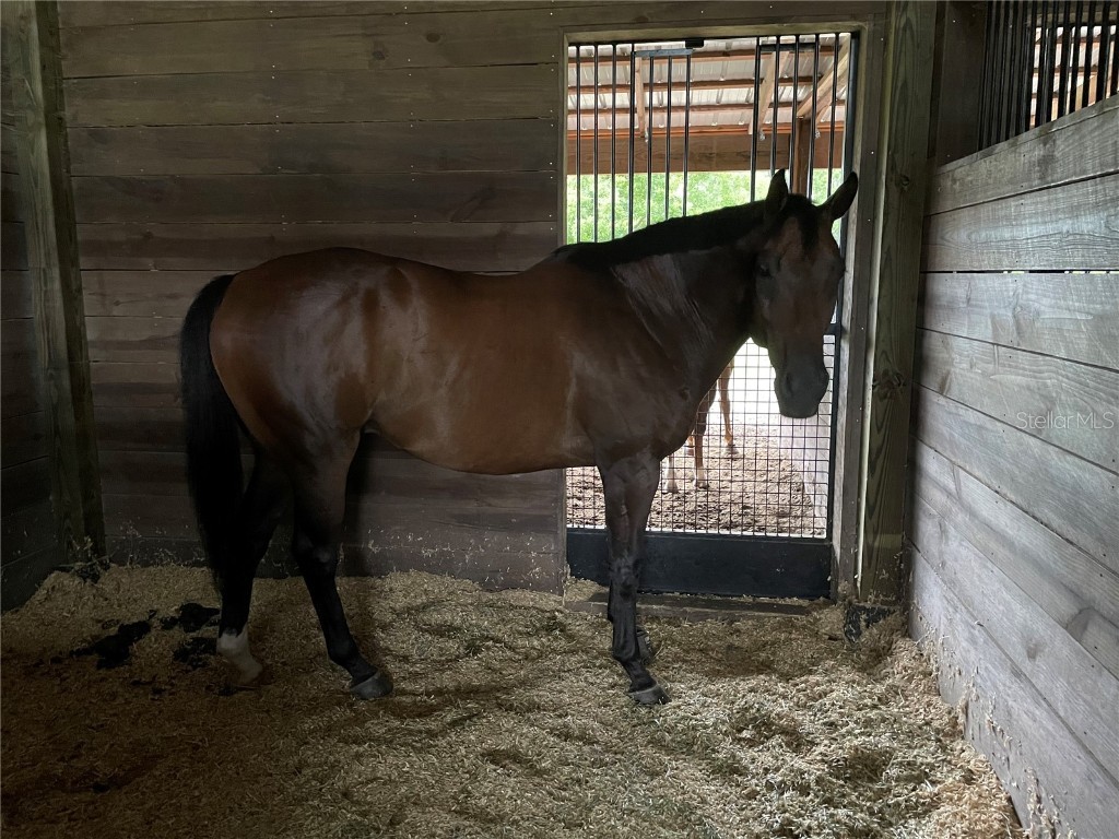 13009 NW 123rd Place Alachua FL 32615 GC533303 image64