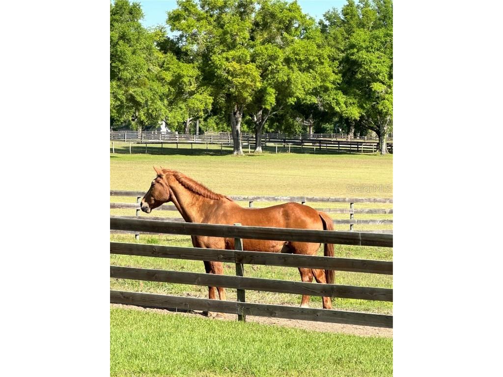 13009 NW 123rd Place Alachua FL 32615 GC533303 image65