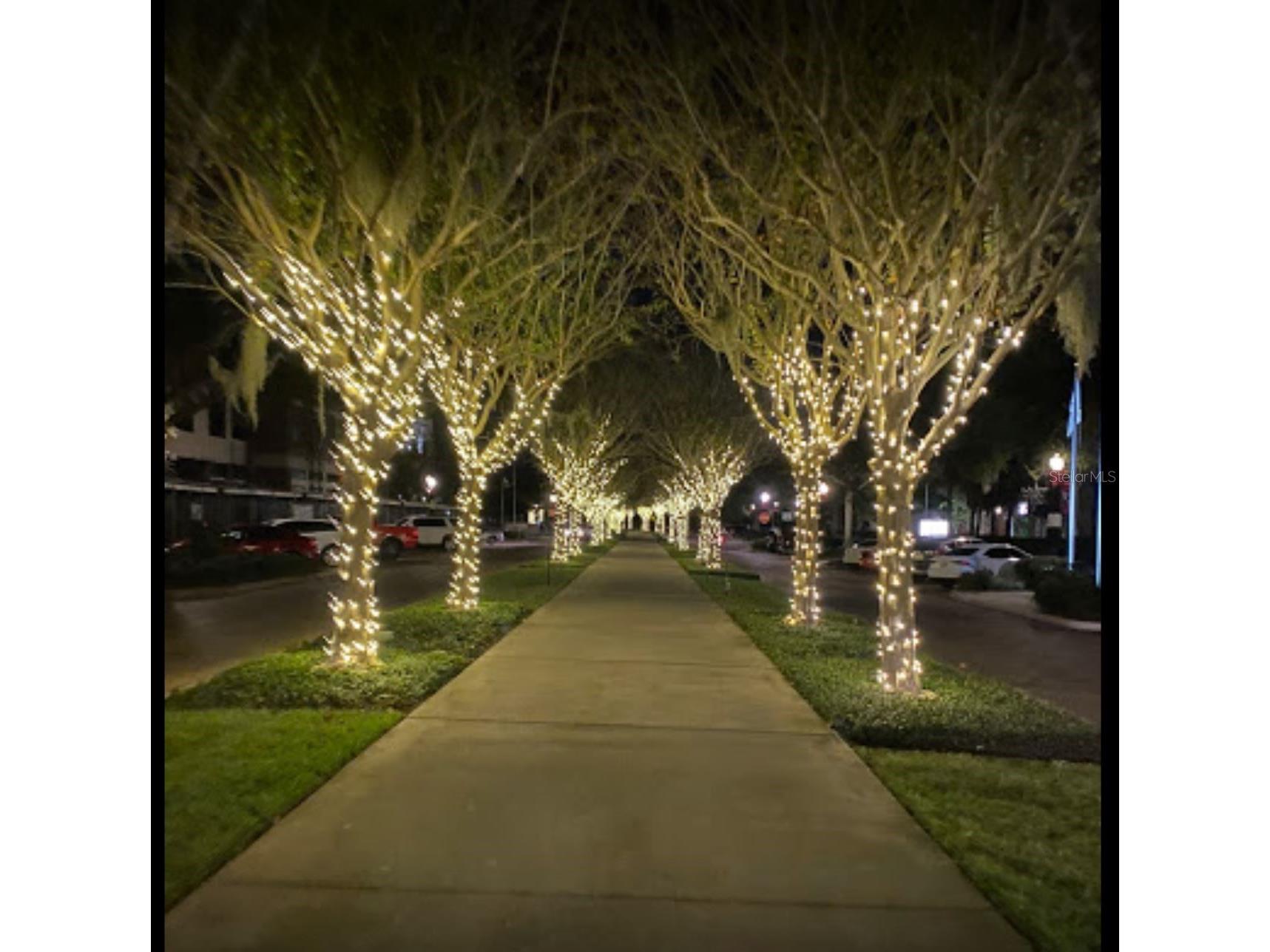 1301 Eastern Pecan Place #203 Winter Garden FL 34787 O6385479 image44