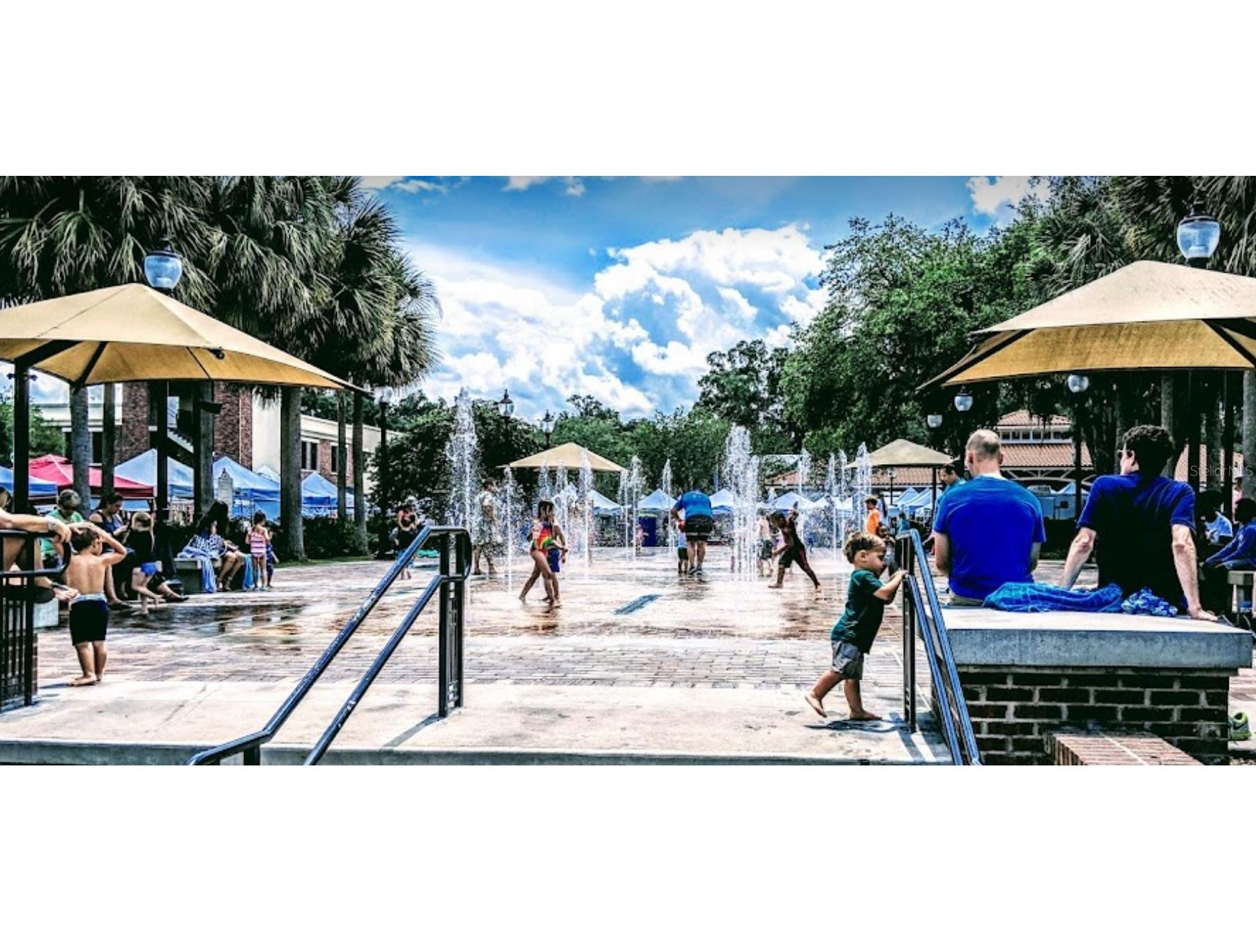 1301 Eastern Pecan Place #203 Winter Garden FL 34787 O6385479 image46