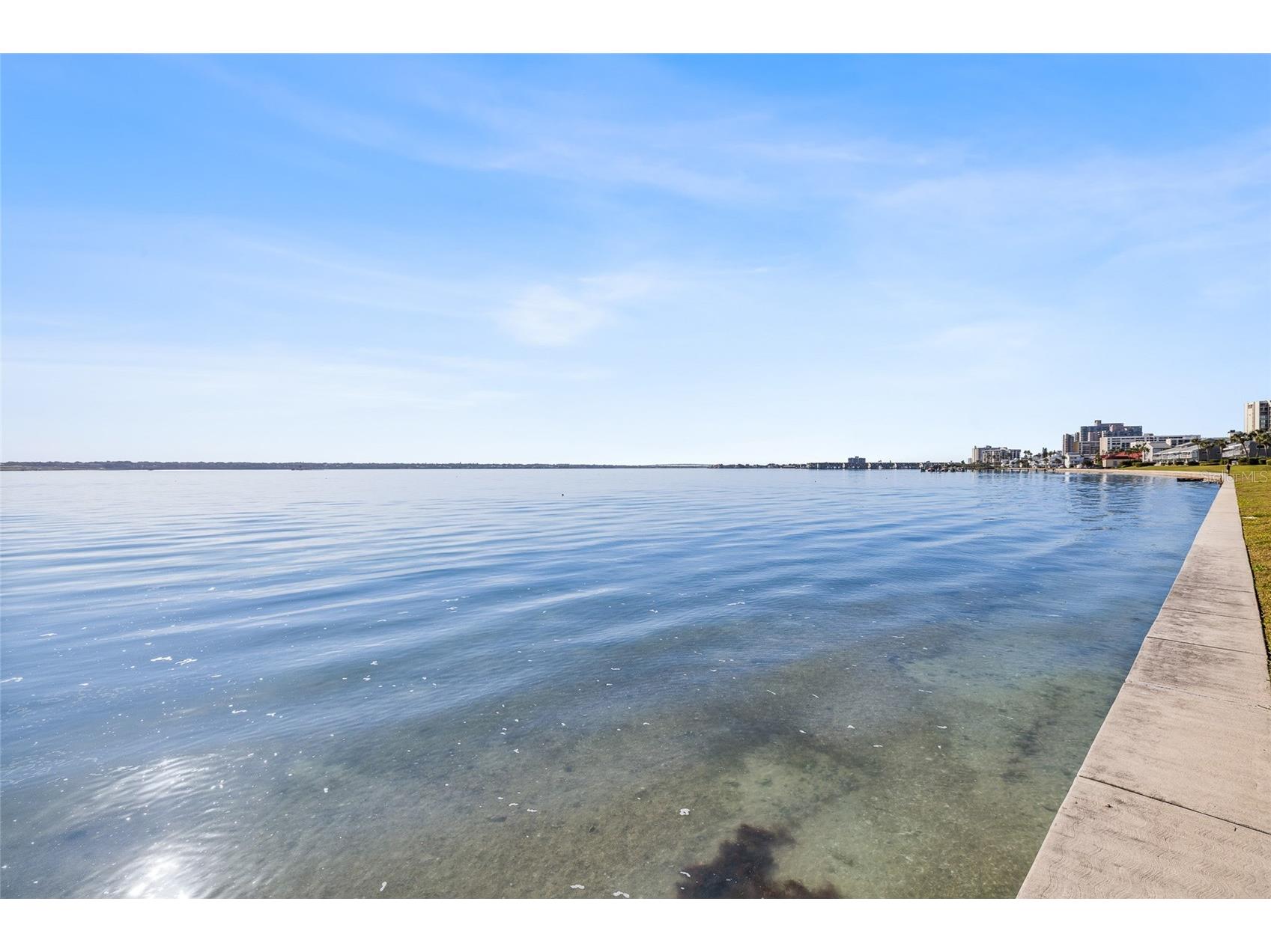 1301 Gulf Boulevard #107 Clearwater Beach FL 33767 TB8468015 image22