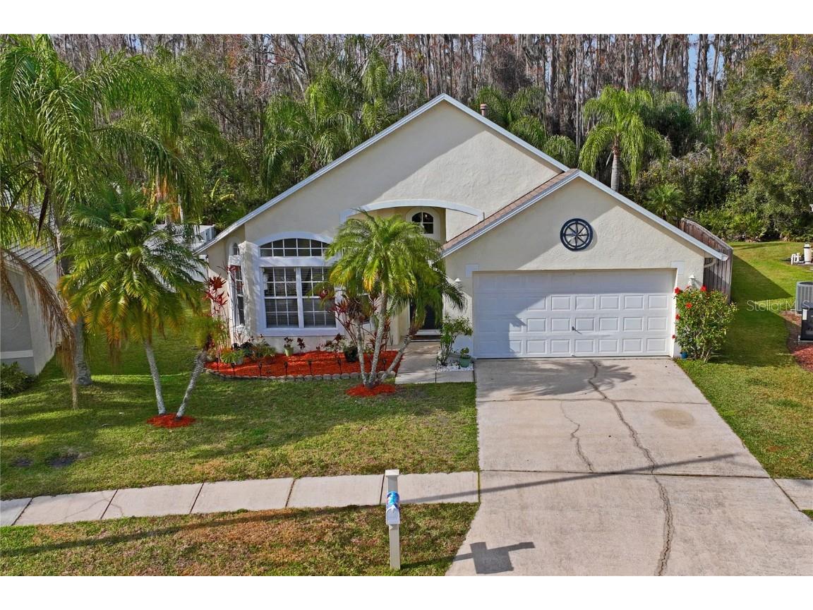 1301 Horsemint Lane Wesley Chapel FL 33543 TB8344829 image1