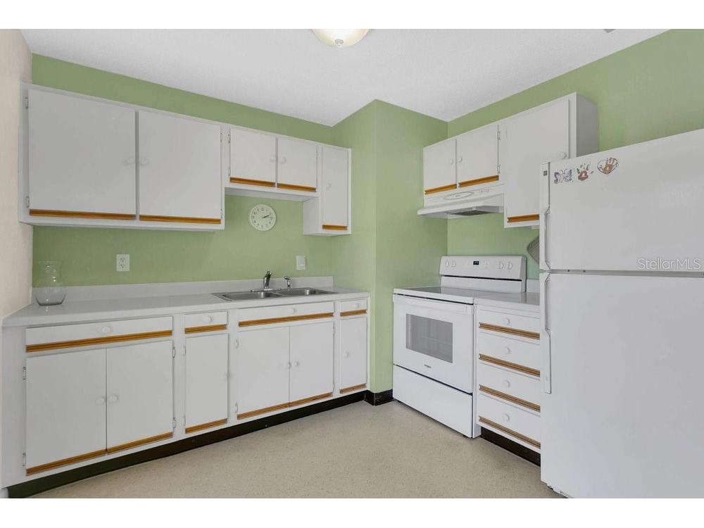 1301 N Amelia Avenue Deland FL 32724 V4945672 image8