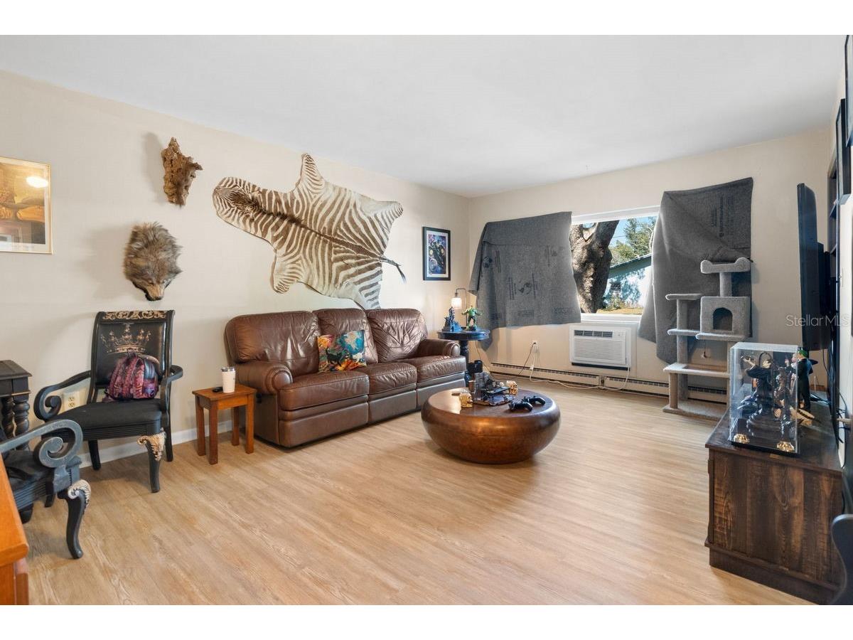 1301 N Lotus Drive Dunedin FL 34698 TB8470910 image10