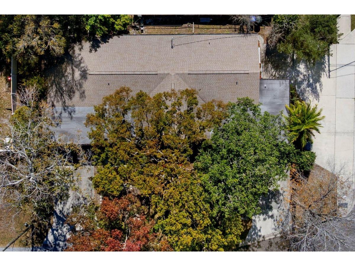 1301 N Lotus Drive Dunedin FL 34698 TB8470910 image3