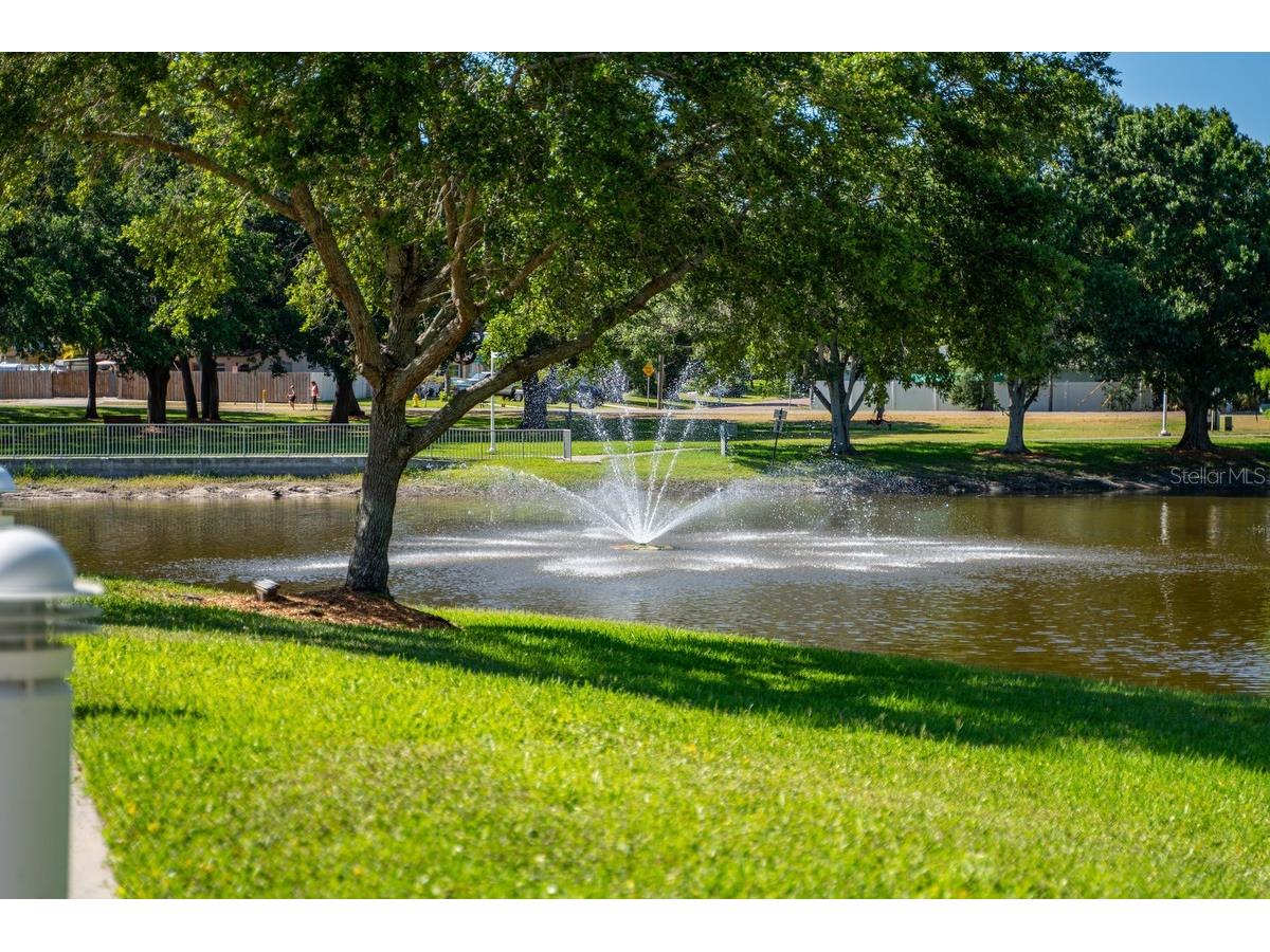 1301 N Lotus Drive Dunedin FL 34698 TB8470910 image58