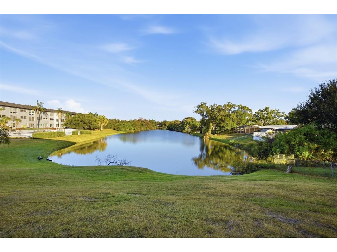 1301 S Hercules Avenue #11 Clearwater FL 33764 TB8449344 image16