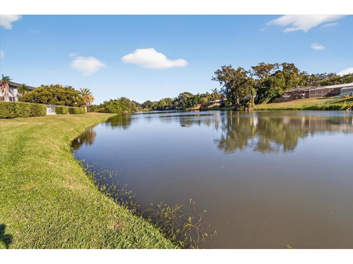 1301 S Hercules Avenue #22 Clearwater FL 33764 TB8431744 image24