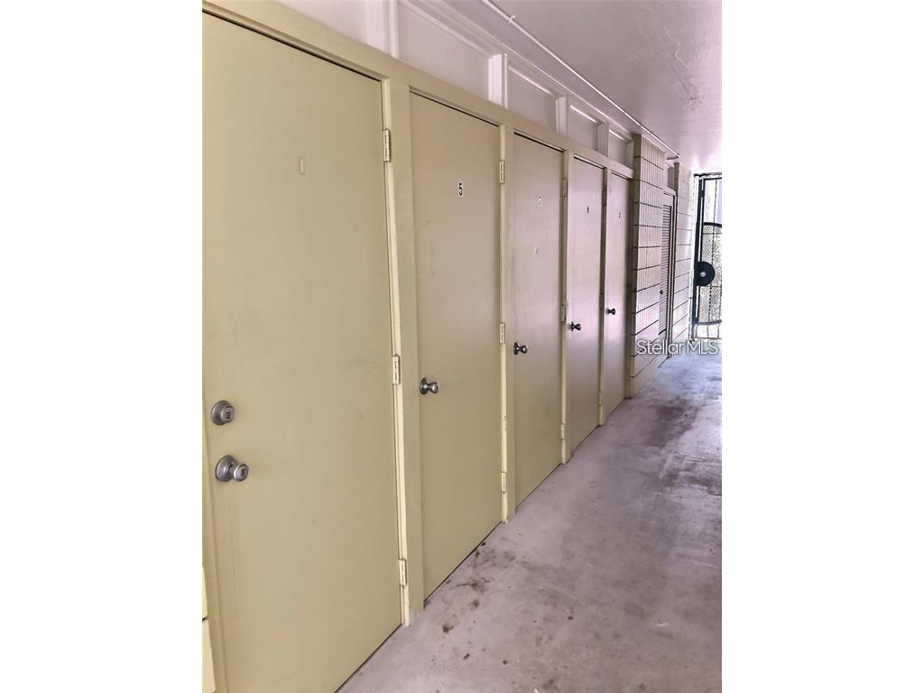 1301 S Howard Avenue #A5 Tampa FL 33606 TB8501893 image12