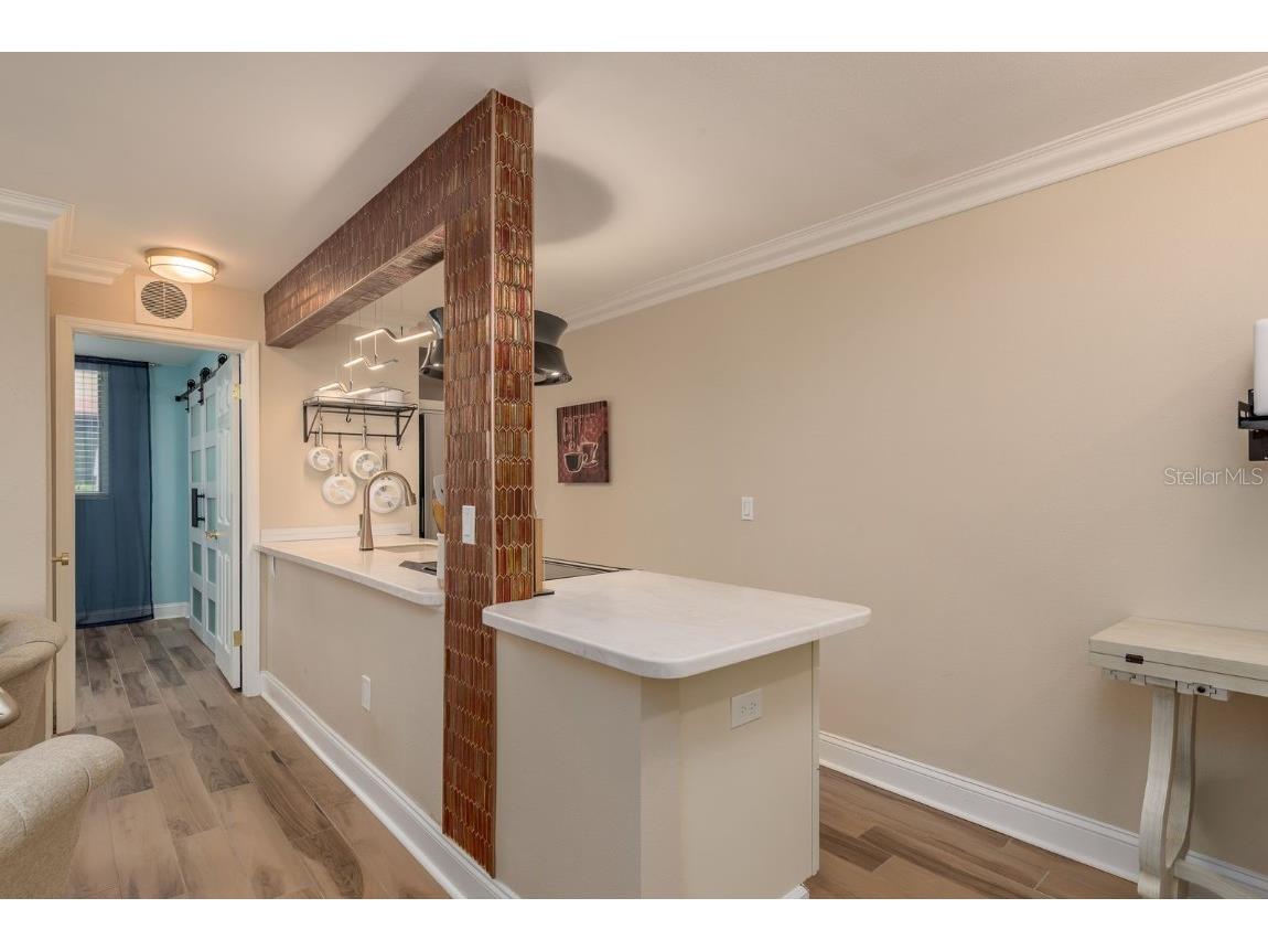 1301 S Howard Avenue #A9 Tampa FL 33606 TB8398707 image11