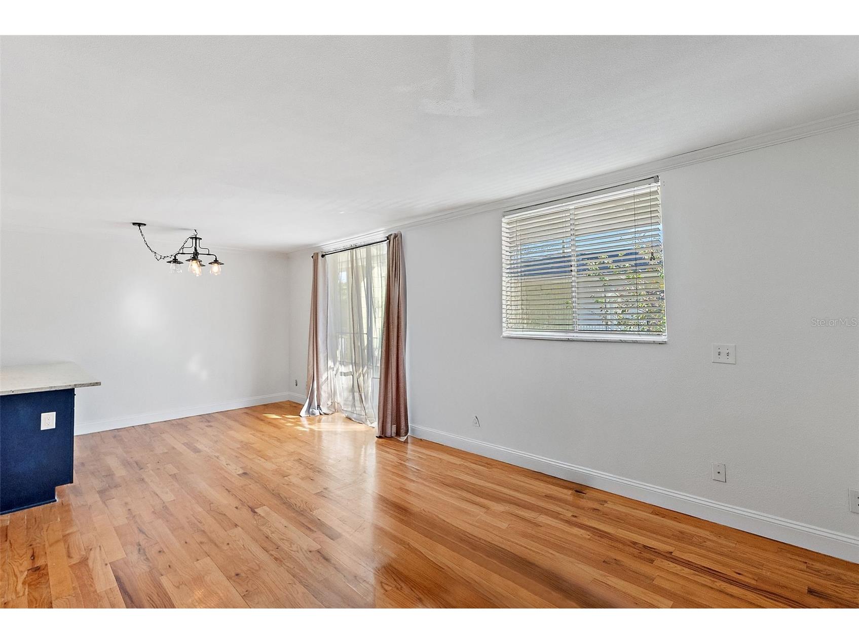 1301 S Howard Avenue #C12 Tampa FL 33606 TB8446091 image16