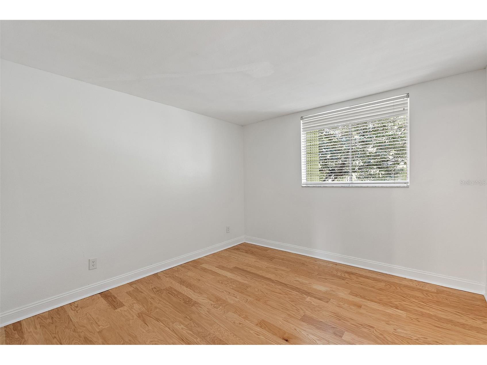 1301 S Howard Avenue #C12 Tampa FL 33606 TB8446091 image18