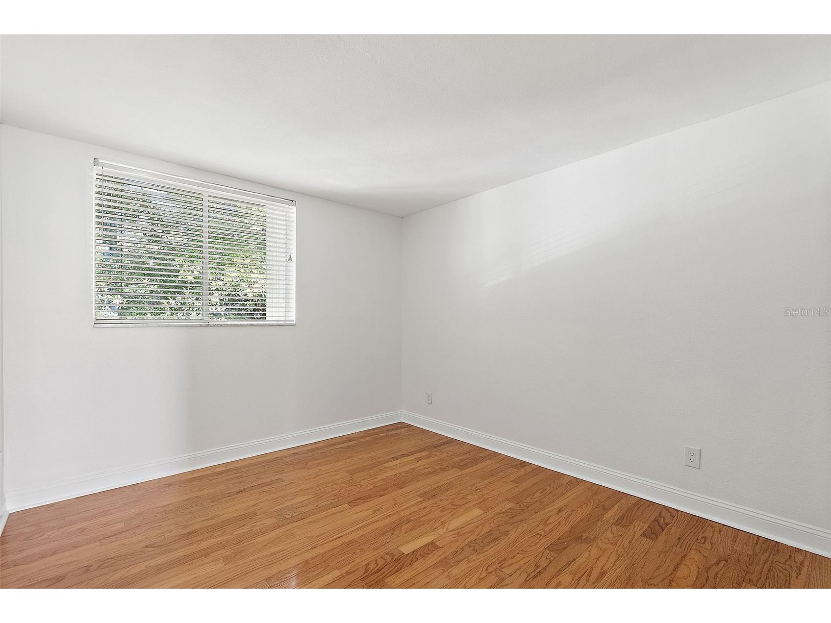 1301 S Howard Avenue #C12 Tampa FL 33606 TB8446091 image20